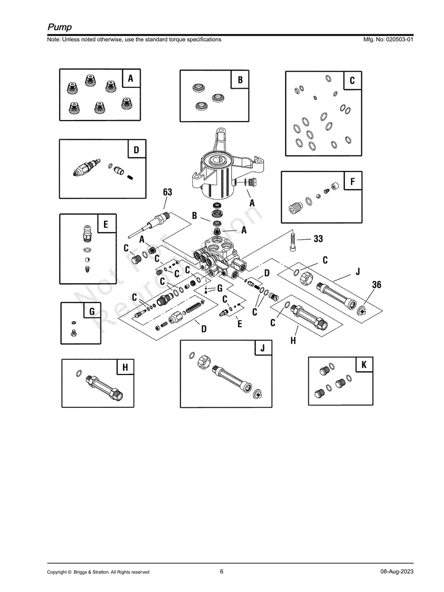 BRIGGS AND STRATTON, 020503-01, IPL.6